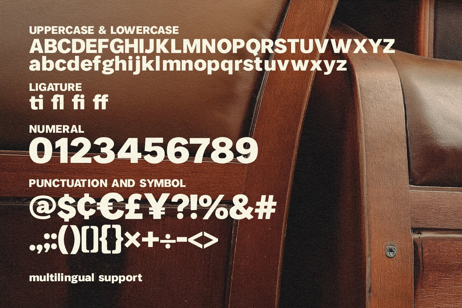 Galina Reany Bold Retro Display Font