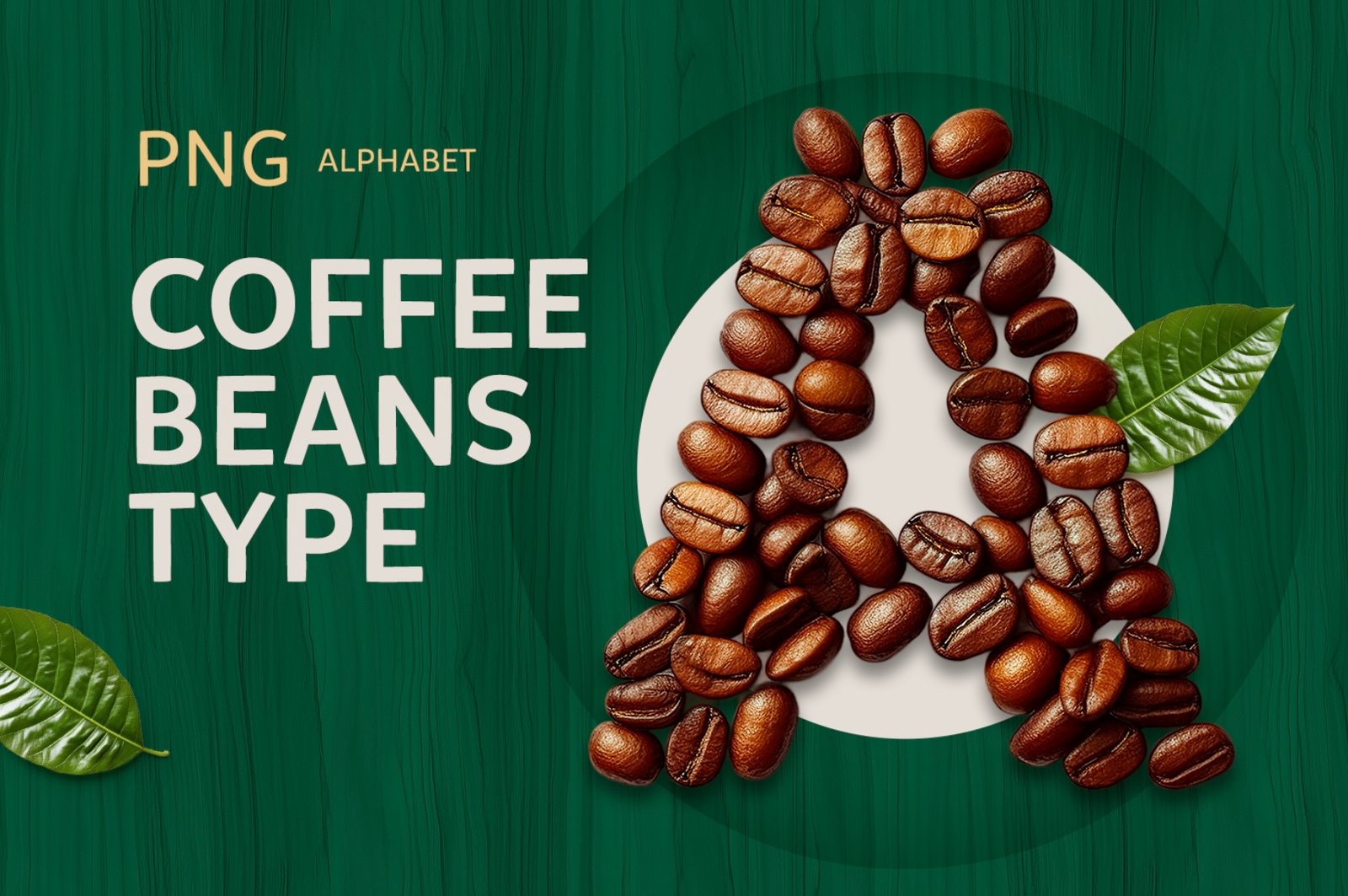 Coffee Beans Type: Geometric Coffee Beans Alphabet