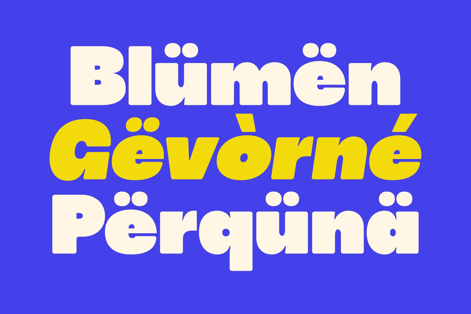 Pottred Bold Display Font