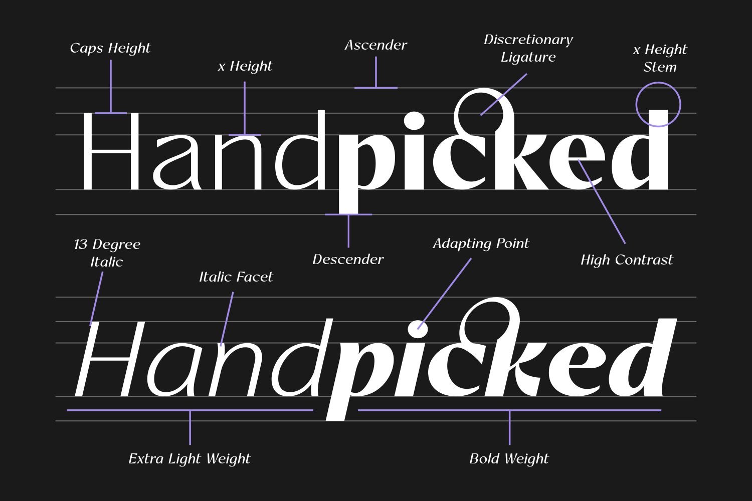 Artezy - Elegant Sans Serif Font Family