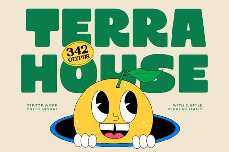 Terra House A Bold Sans Display