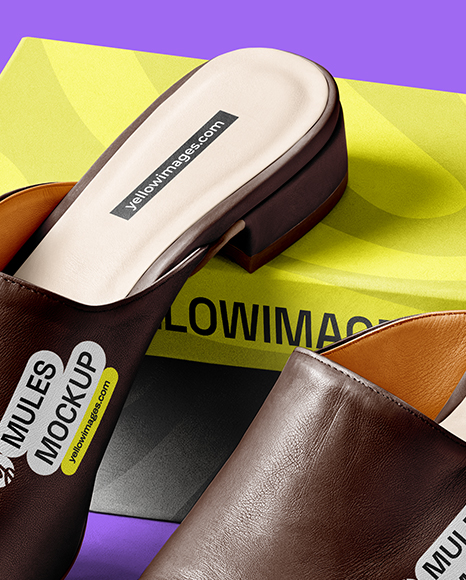Pair of Mules with Shoe Box Mockup