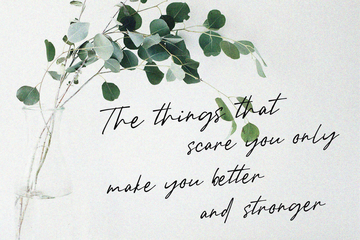 Beny Gallaher Elegant Signature Handwritten Script Font