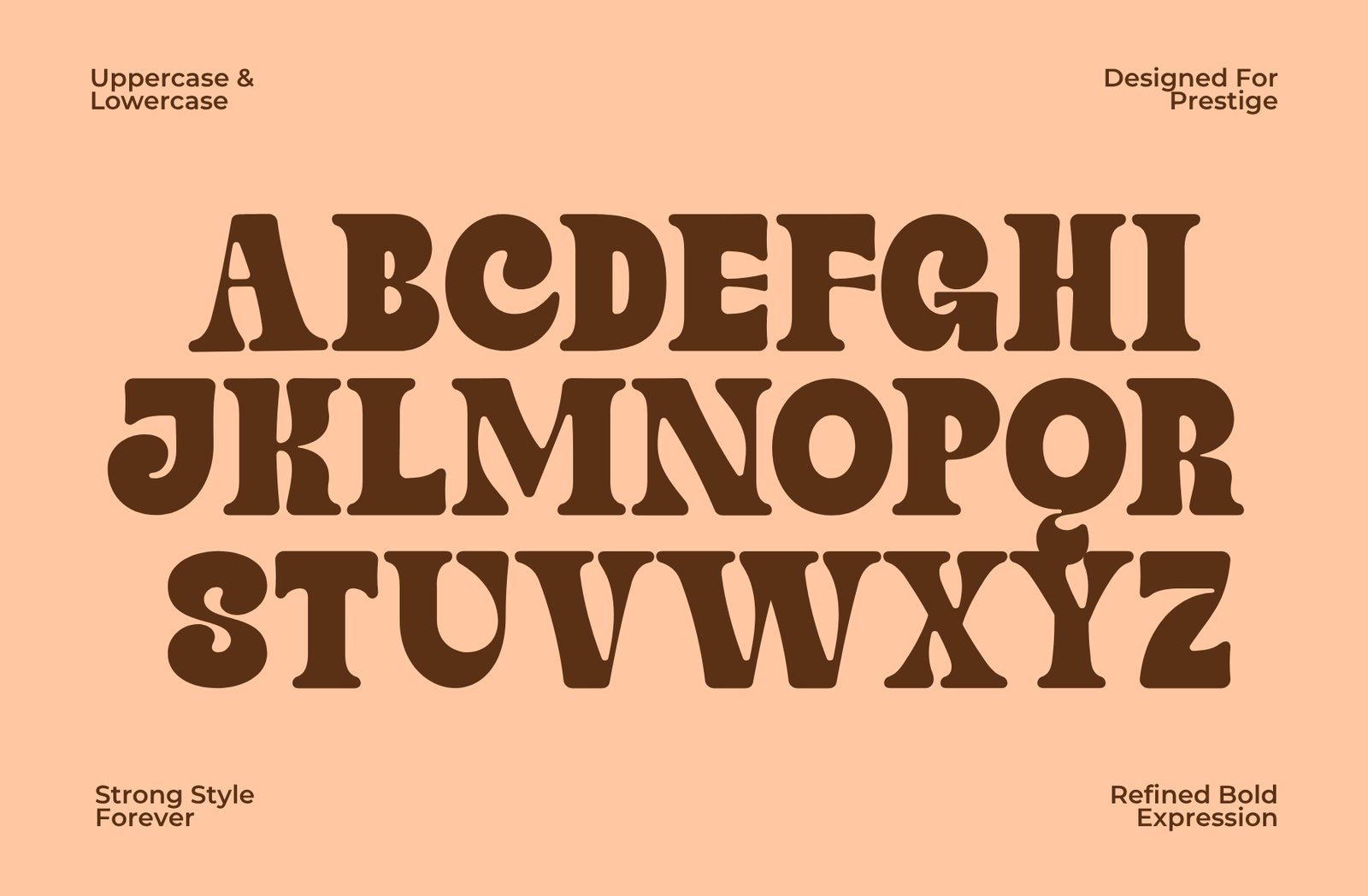 Finer – Classic Bold Serif Typeface