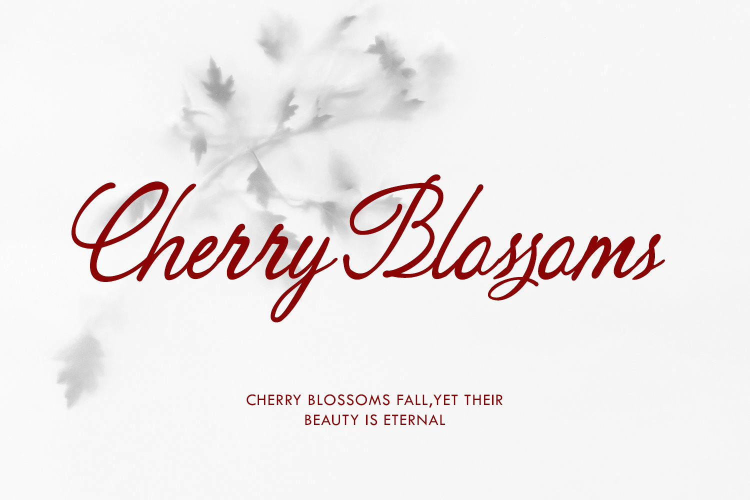Peuttya Deffunte Sophisticated Classy Script Font
