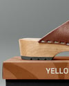 Clog Shoe with Box Mockup