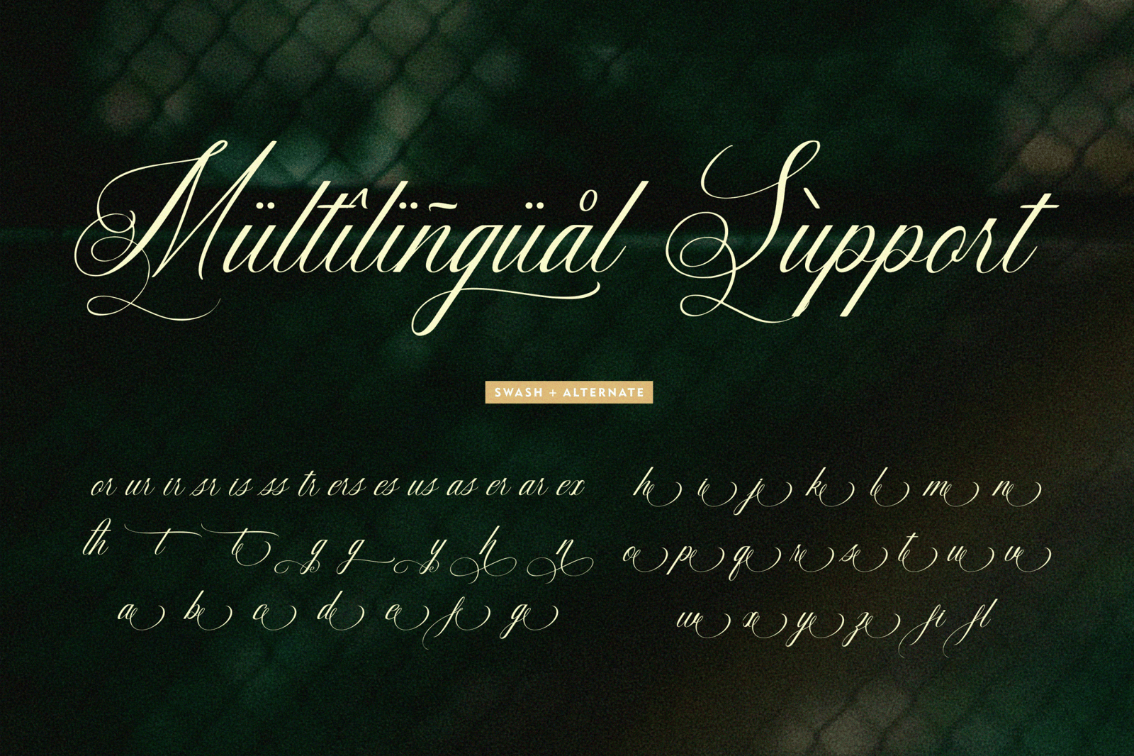 Intrapersonal - Elegance Calligraphy Script Font