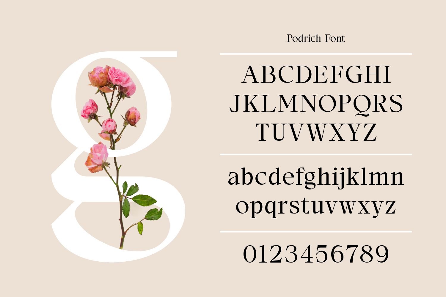 Podrich - Timeless Logo Font