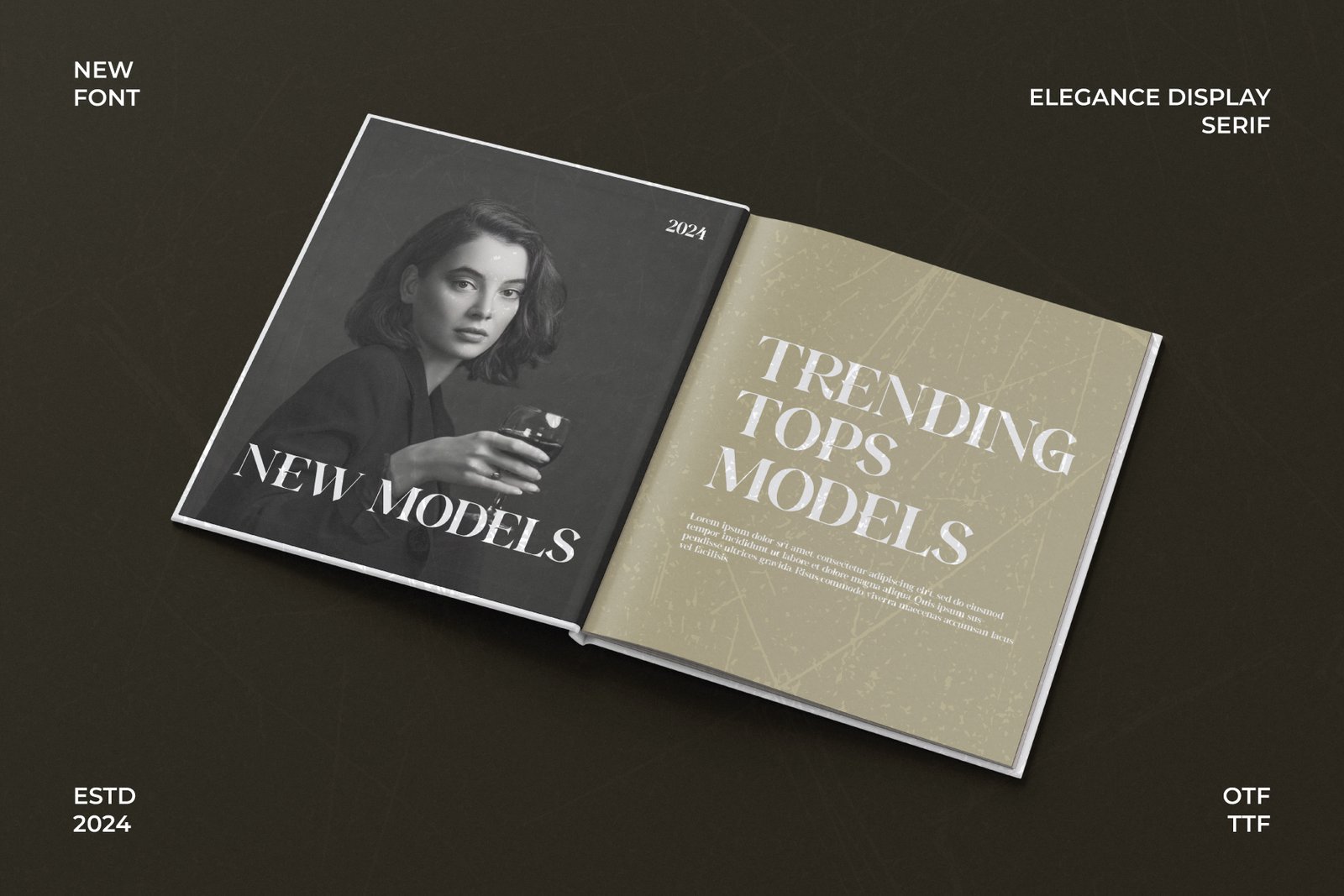 Regista - Display Serif
