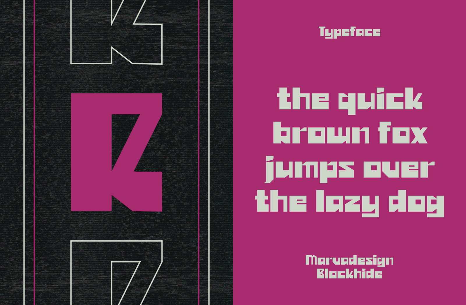 Blockhide Font