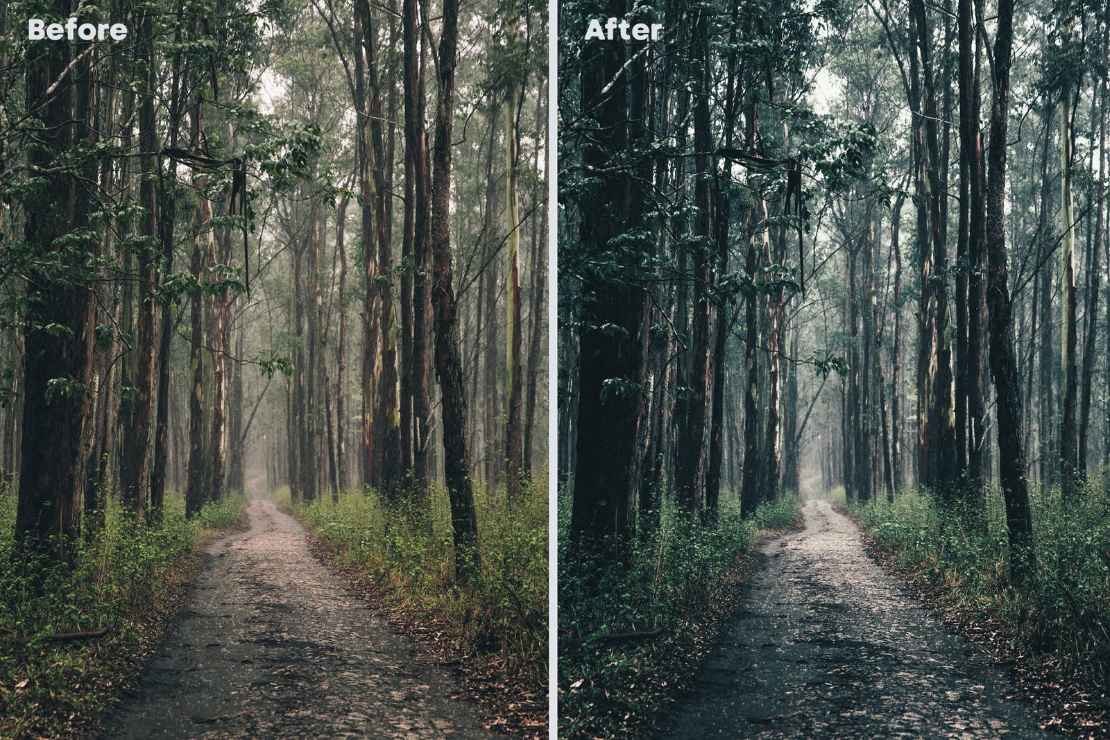 Hollywood Colour Grading LUTs