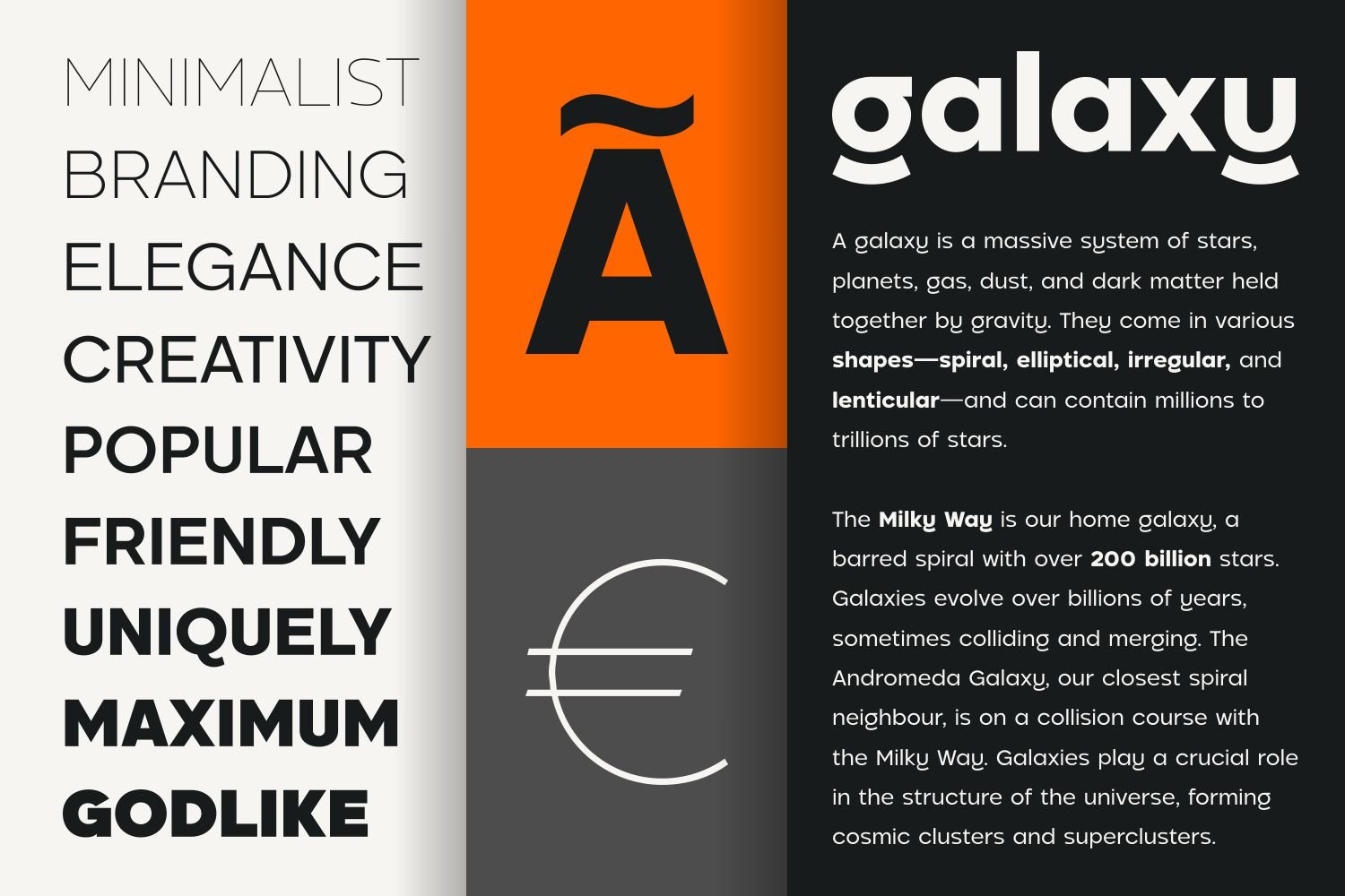 Pogonia - Modern Font Family