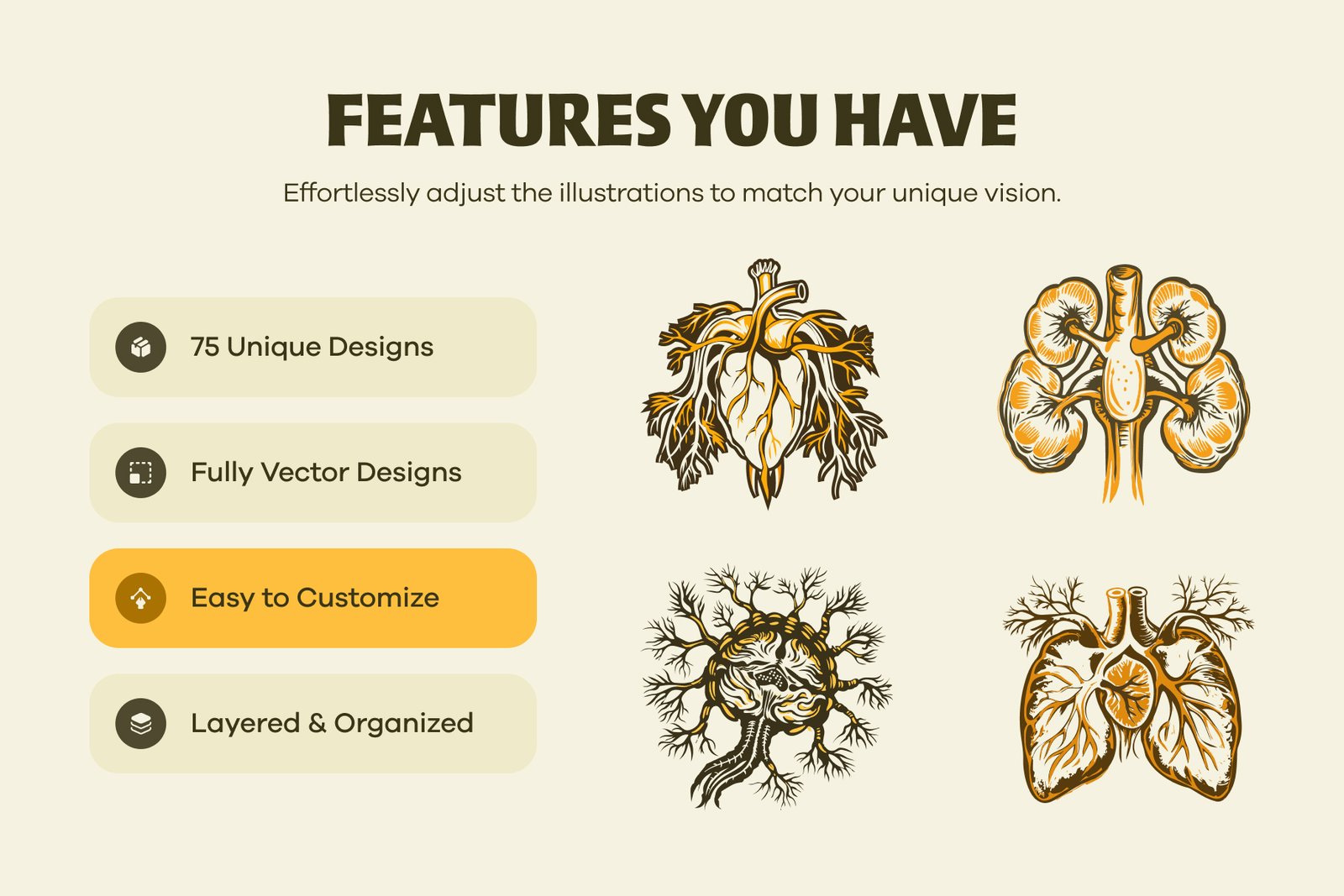 Vintage and Antique Anatomy Illustrations