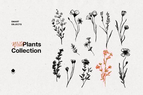 Wild Plants Graphic Set - Graphics