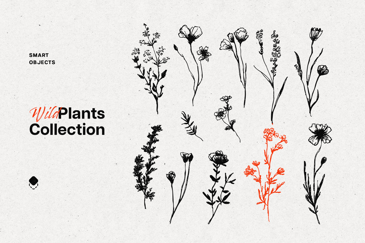 Wild Plants Graphic Set