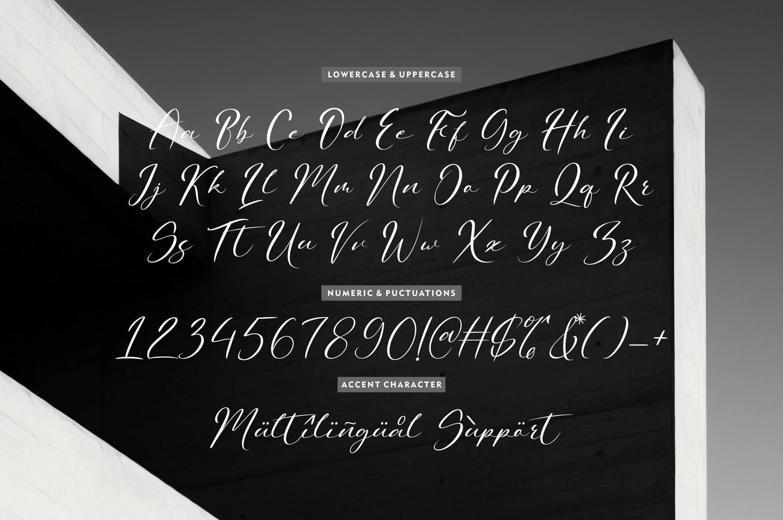 Pemudas Kingdom - Elegant Handwritten Script Font