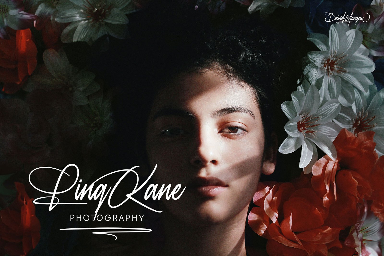David Morgan - Signature Font