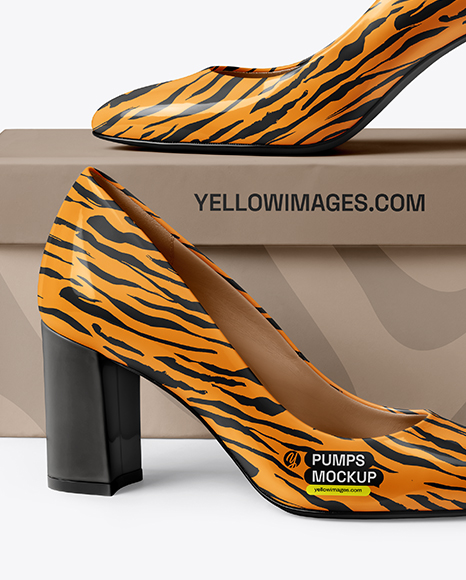 Block Heel Pumps with Shoe Box Mockup