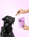 Dog and Hand Holding Stand-Up Pouch Mockup