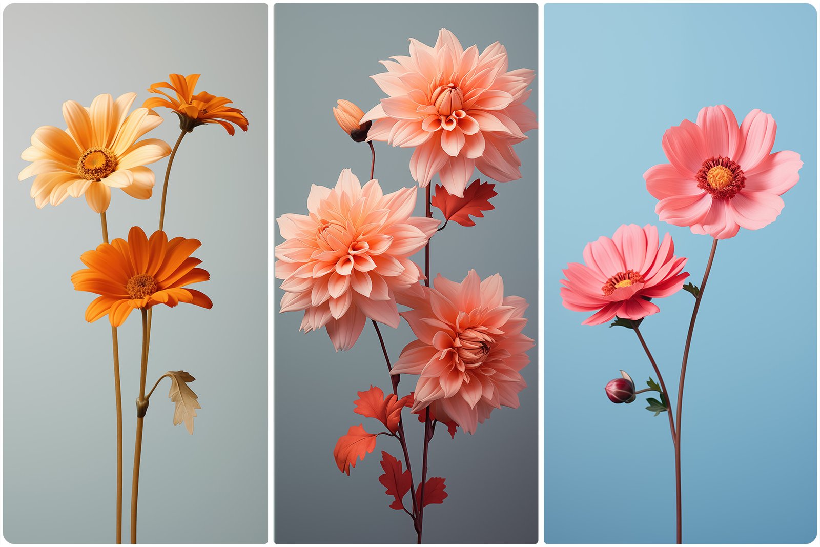 120 Flowers Poster Illustration Backgrounds