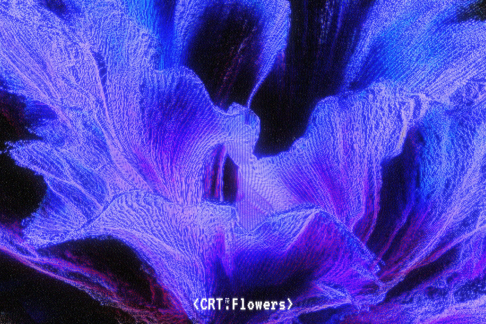 CRT Flowers
