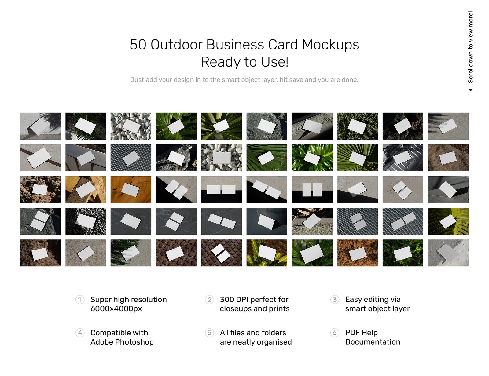 Outdoor Business Card Mockups