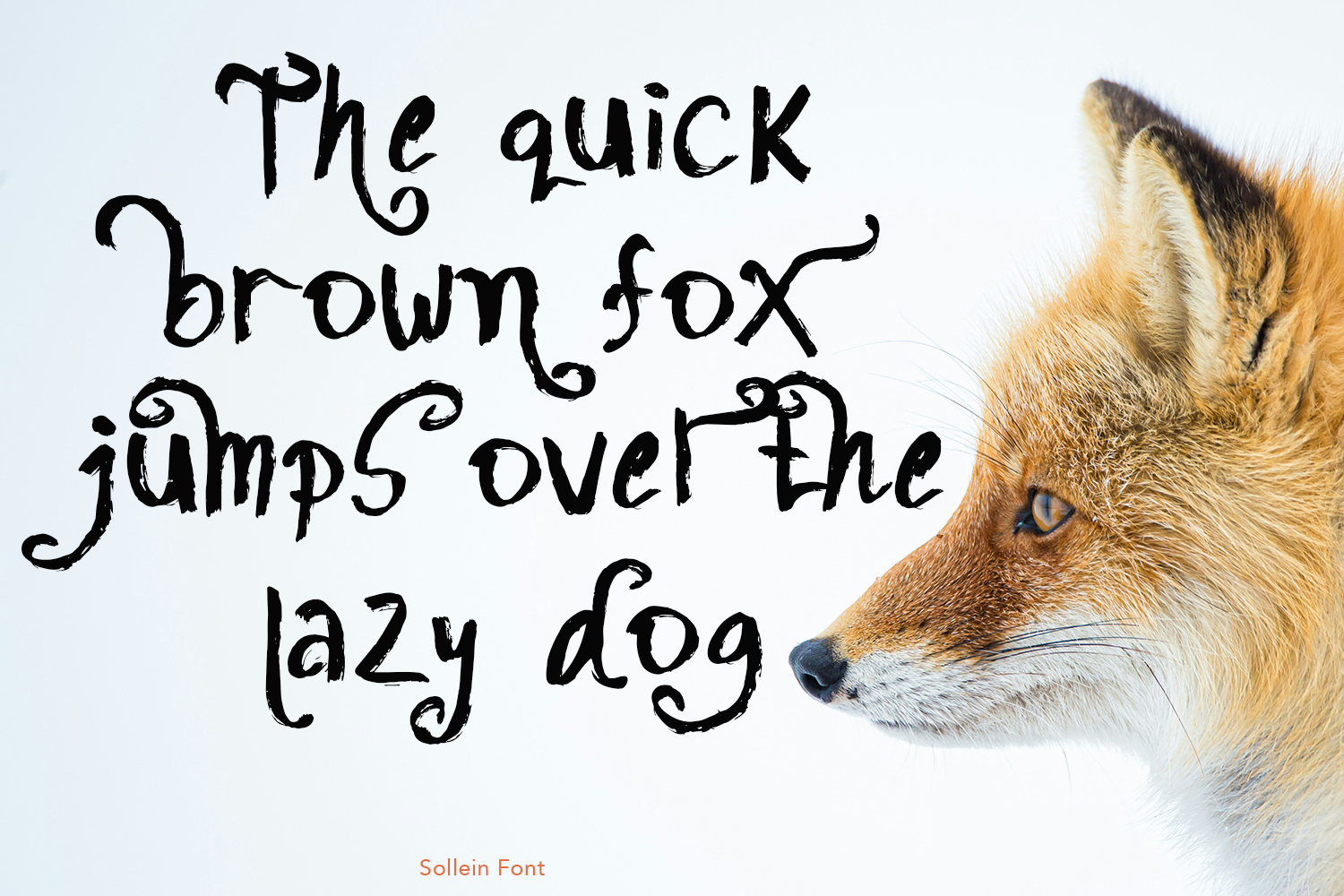 Sollein Brush Font