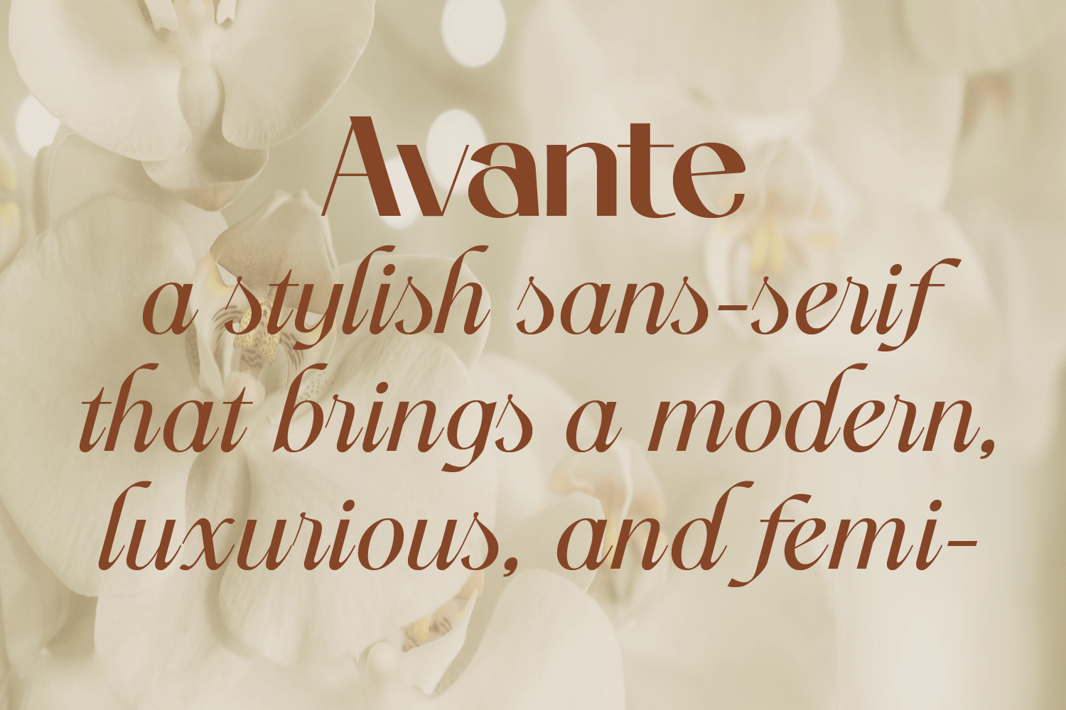&#034;Avante&#034; stylish sans display family