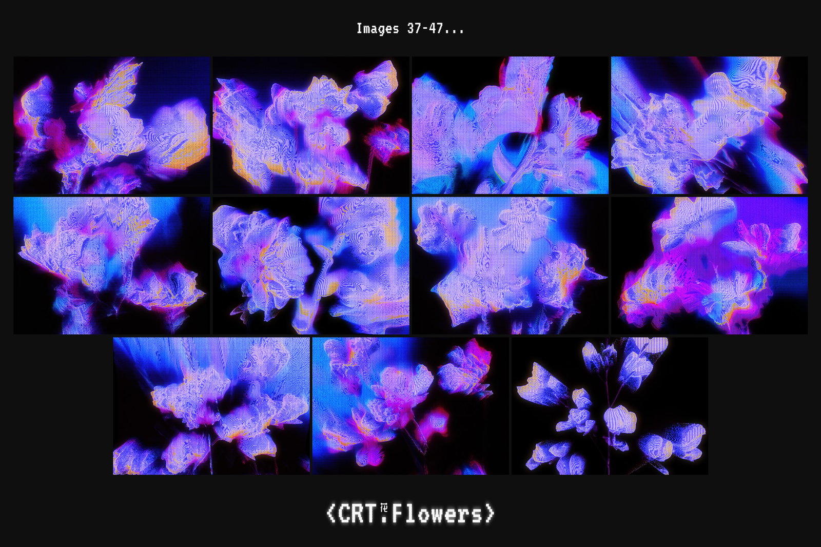 CRT Flowers