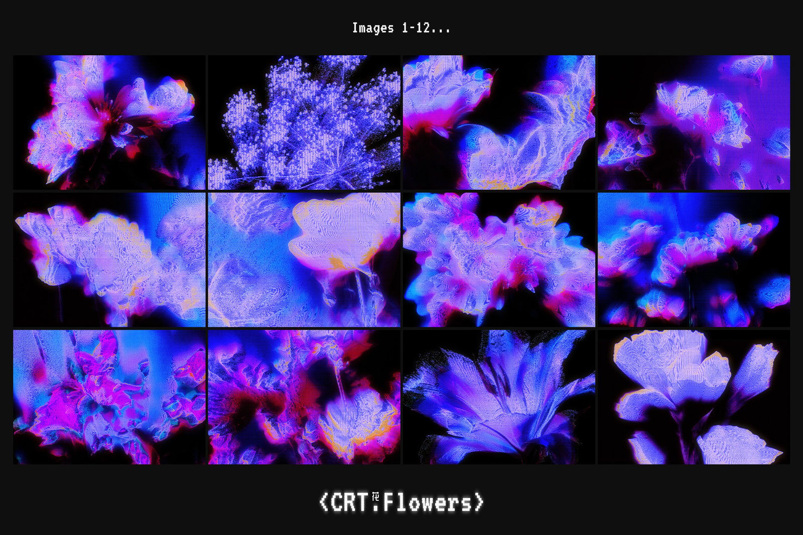 CRT Flowers