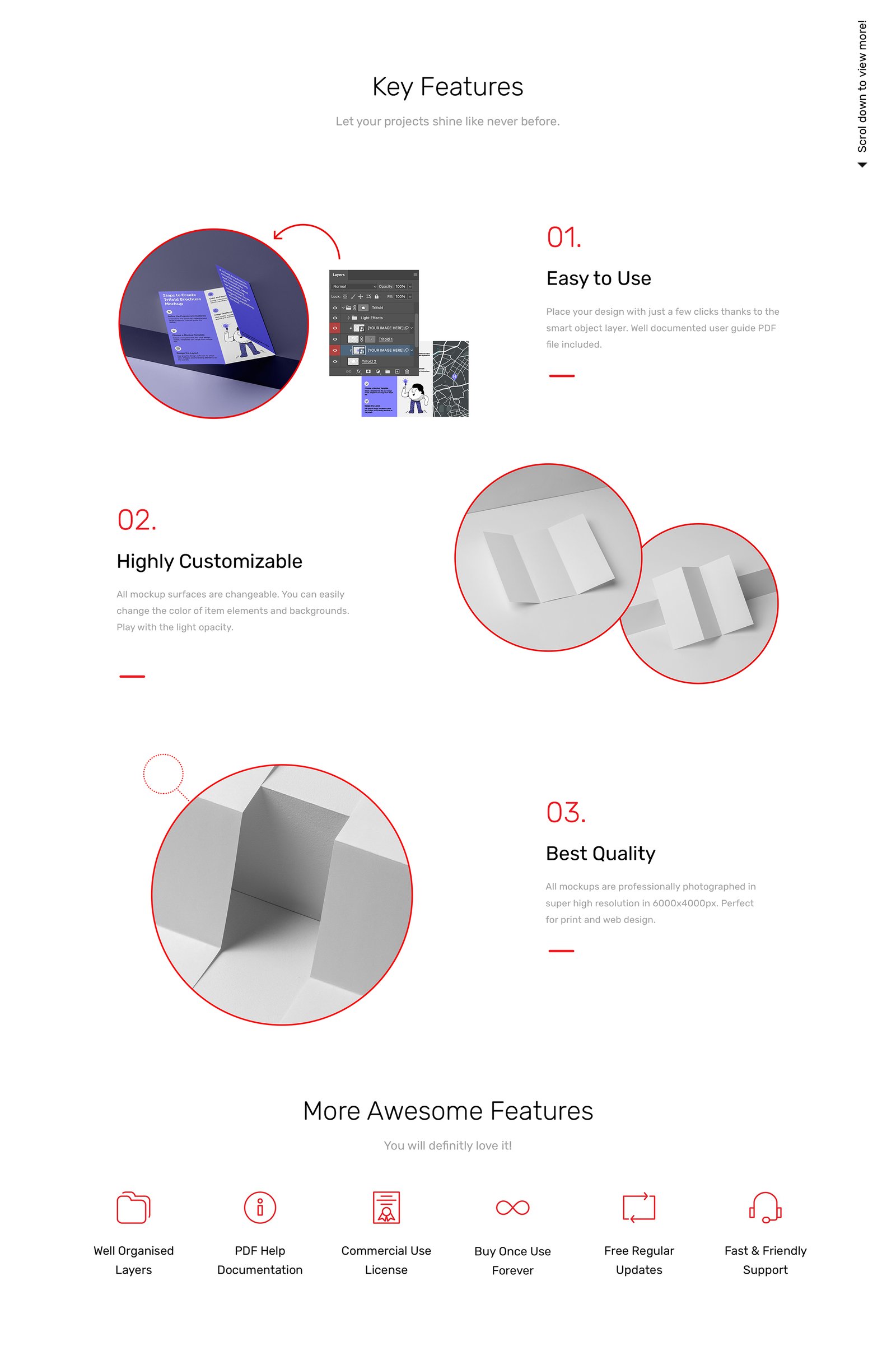 Studio Trifold Mockups