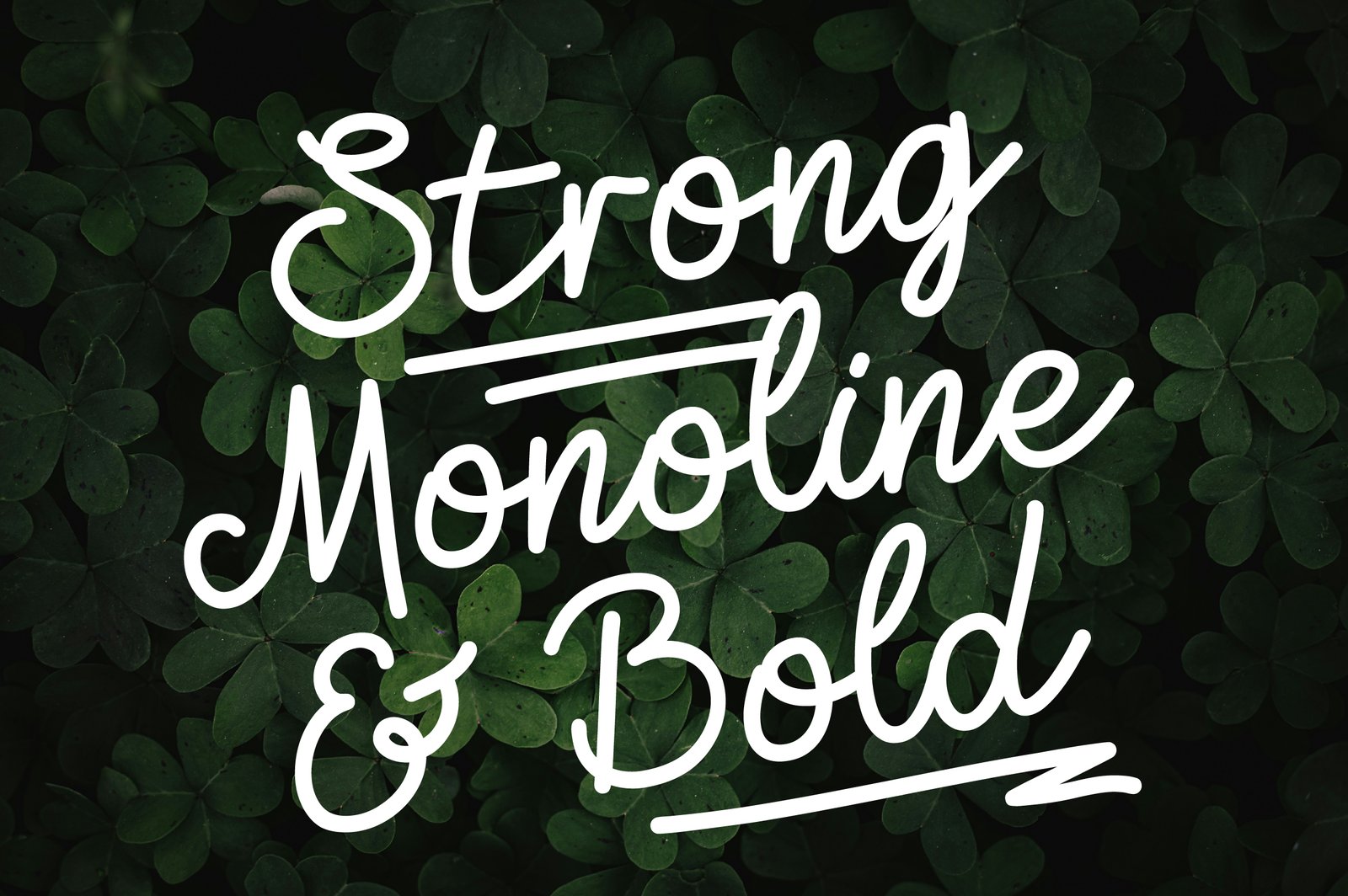 Zolfiq Monoline Font