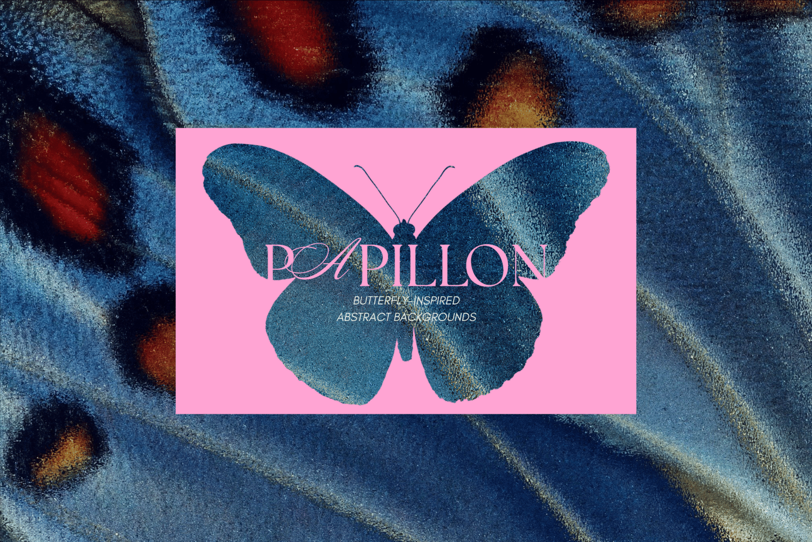 PAPILLON | Abstract Textures