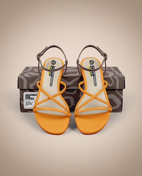 Pair of Strappy Sandals With Shoe Box Mockup