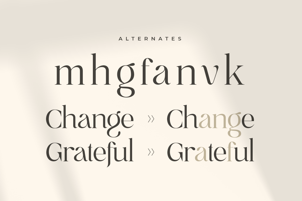 Gray - Luxury Classy Brand Font