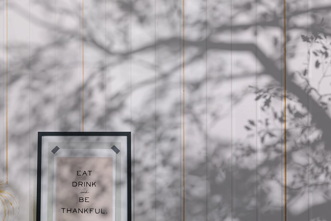 Plant Shadow Backdrops Video Bundle