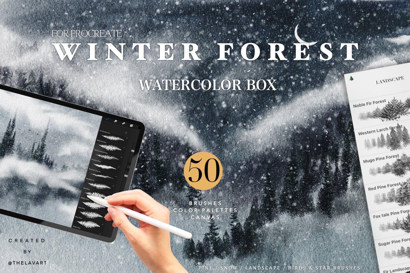 Winter Forest Box for Procreate