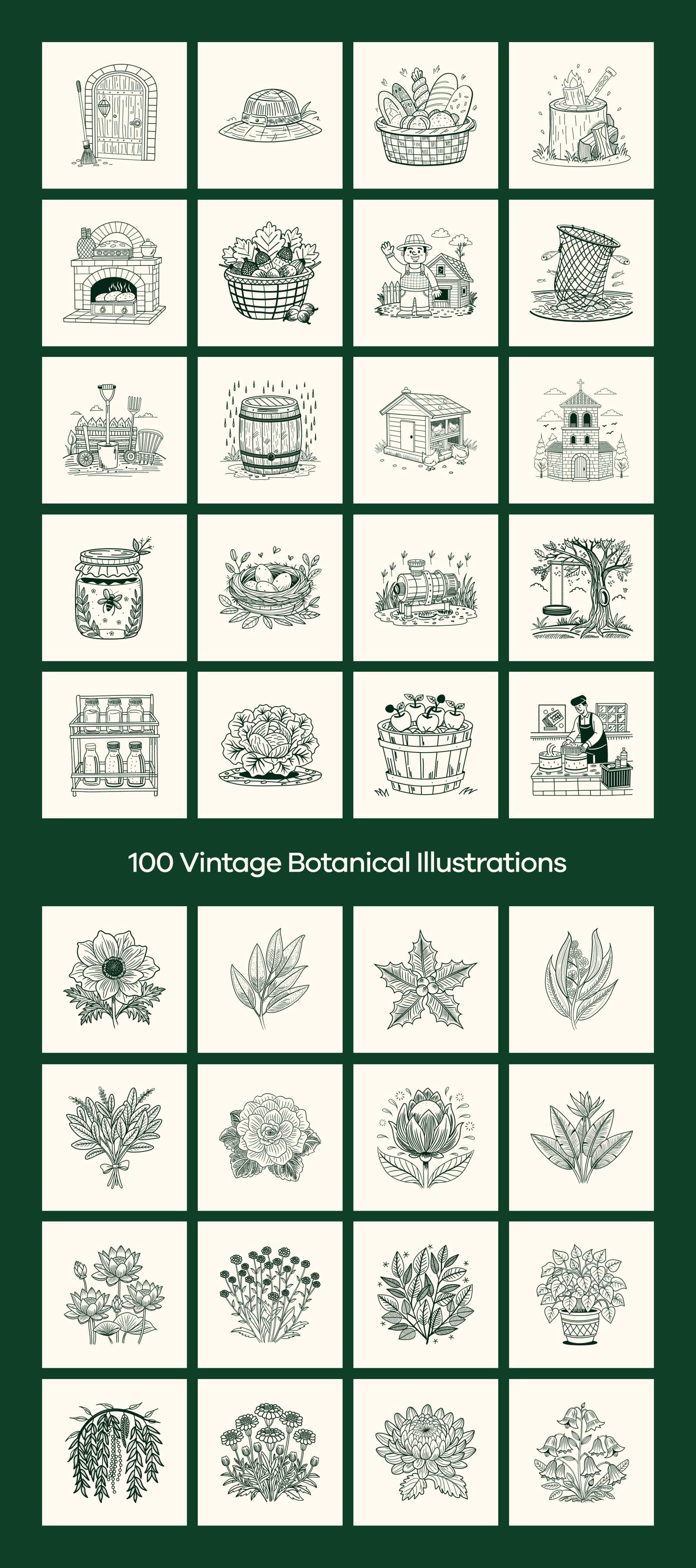 Vintage Nature Illustrations Bundle