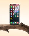 Apple Iphone on the Branch Mockup