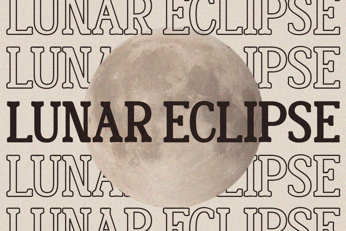 Second Choice - Stylish Slab Font