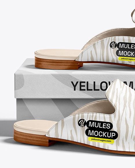 Pair of Mules with Shoe Box Mockup