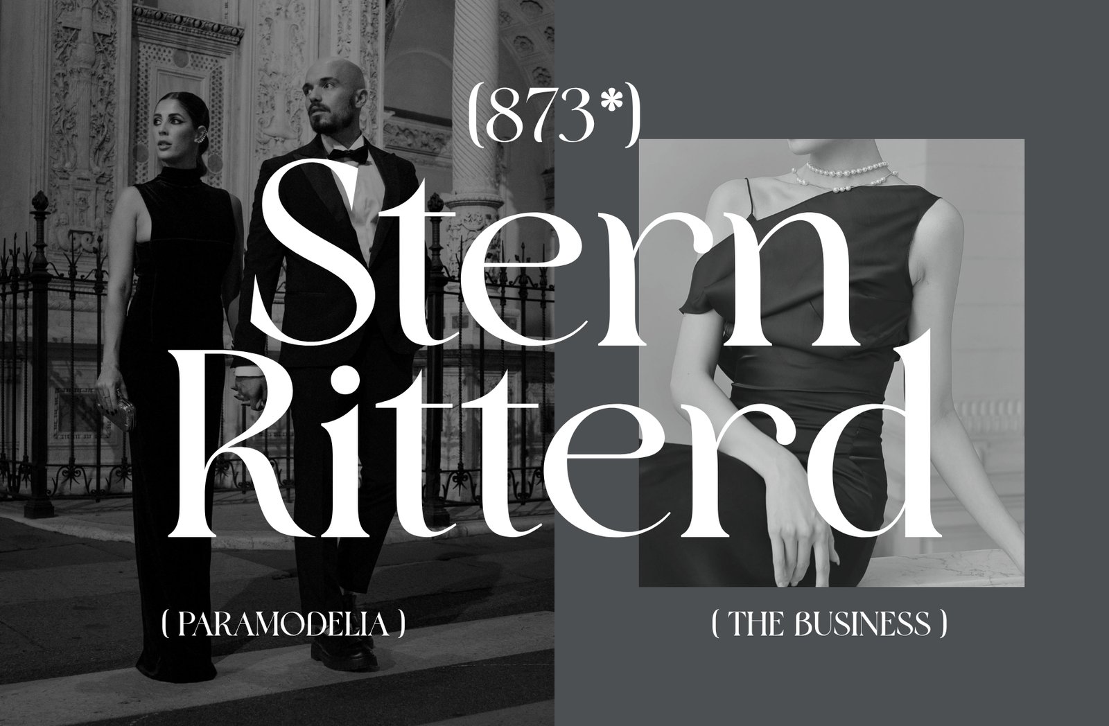 Askinо – Elegant Editorial Serif Font