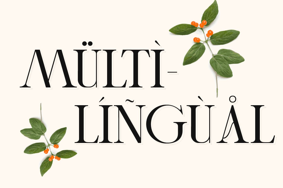 Cheqa a Luxury &amp; Elegant Serif
