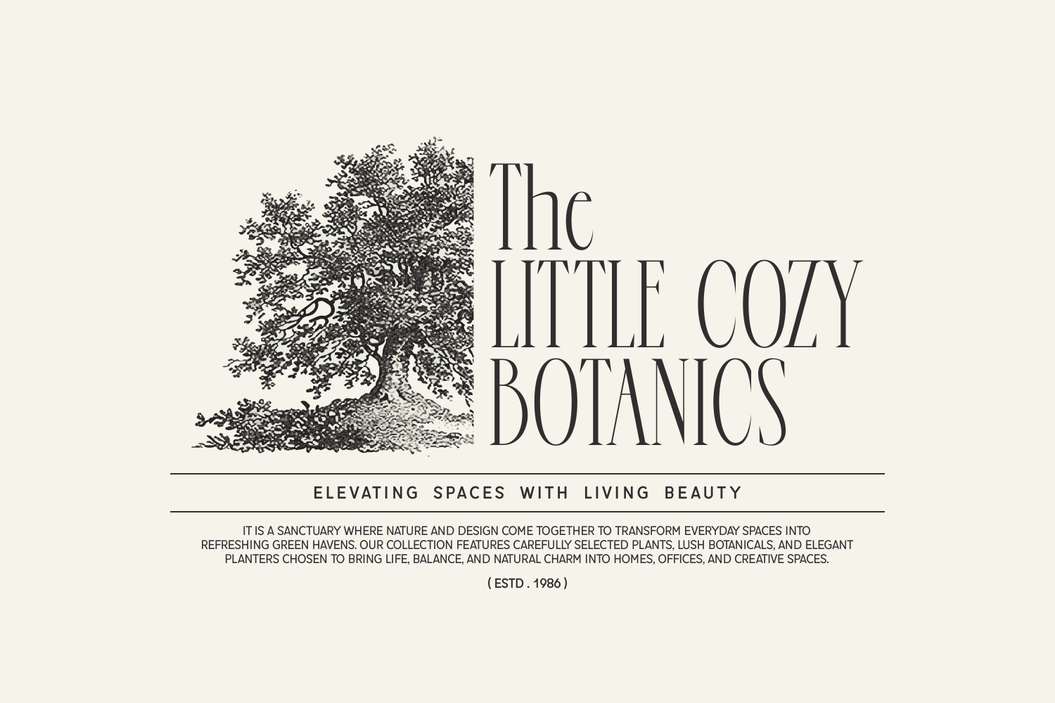 Runelia Elegant Serif Font