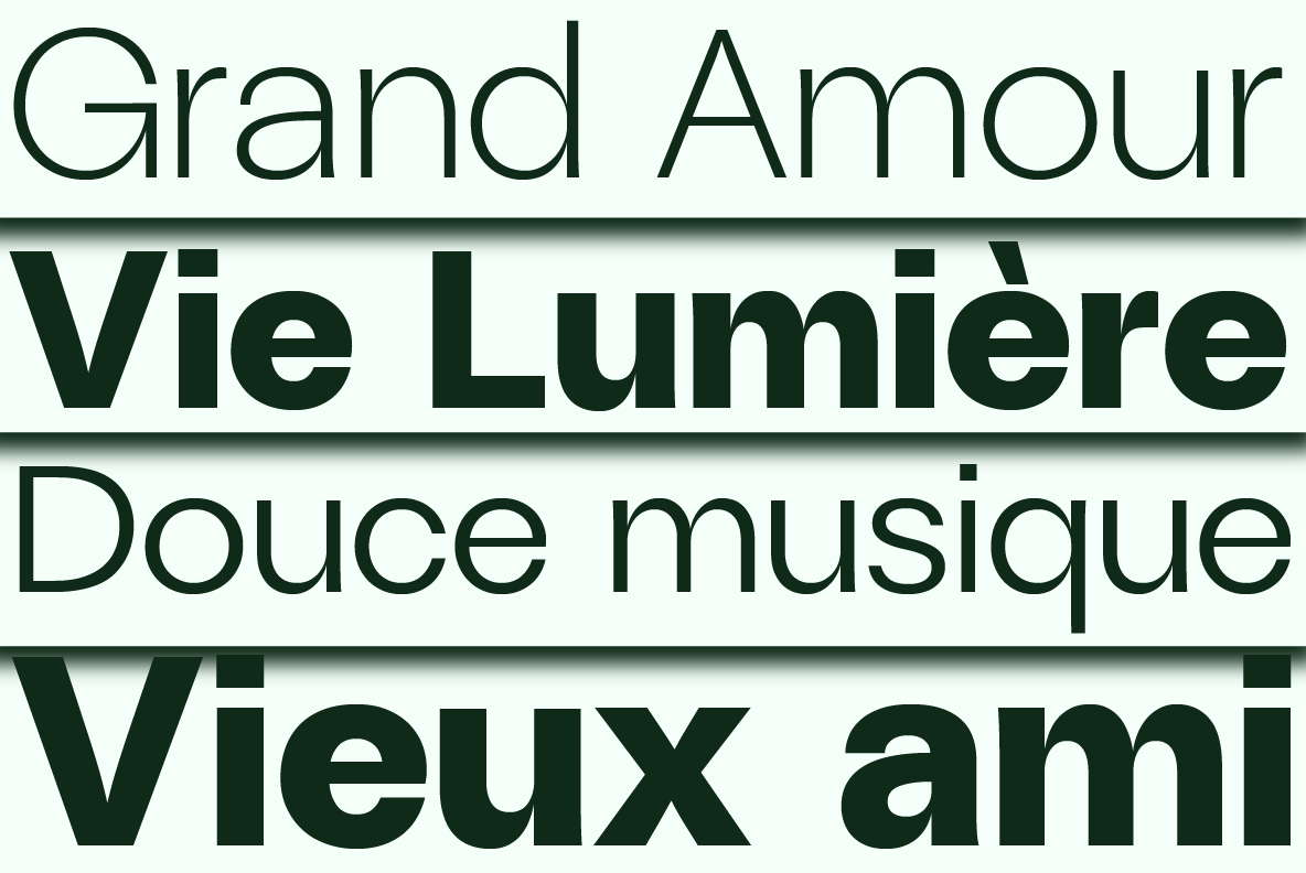ZT Talk Font