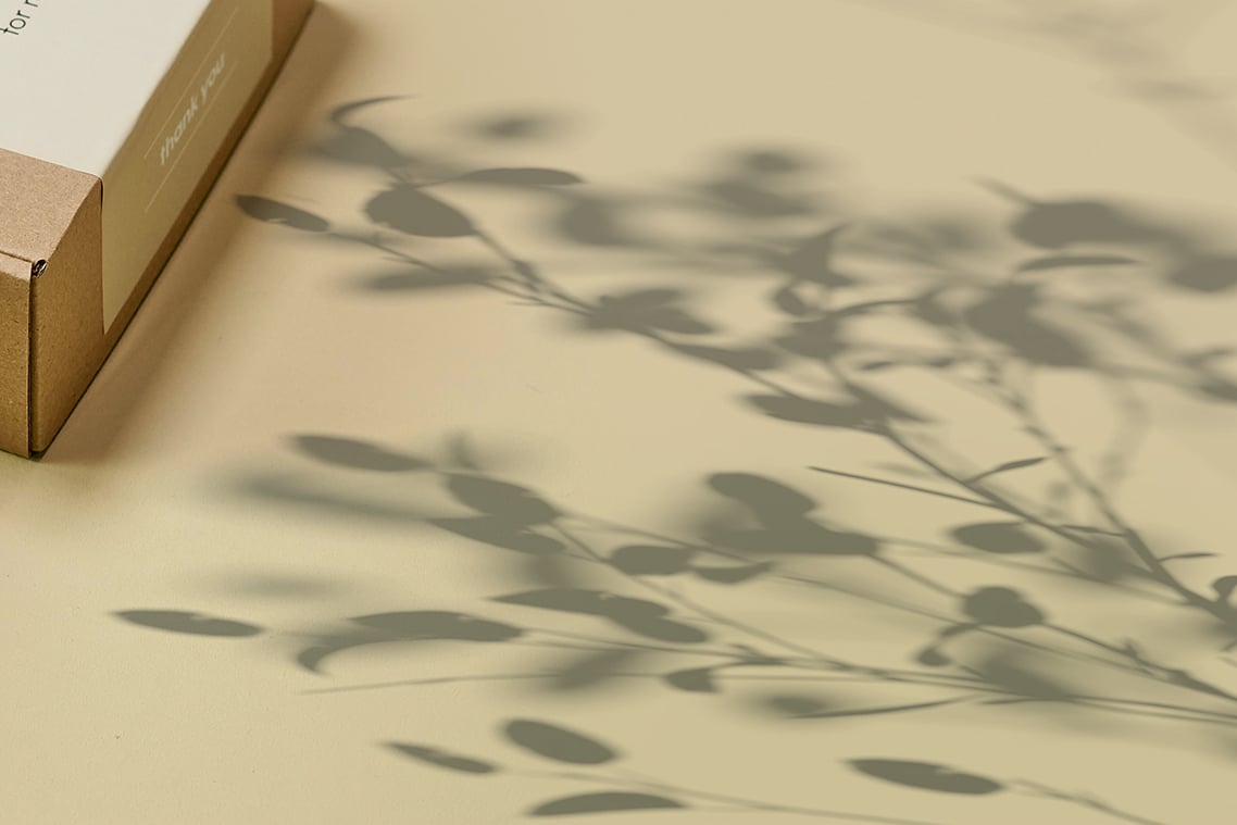 Plant Shadow Backdrops Video Bundle