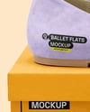 Pair of Suede Ballet Flats with Box Mockup