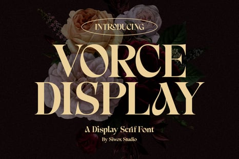 VORCE DISPLAY - A Serif Font - Magazine font