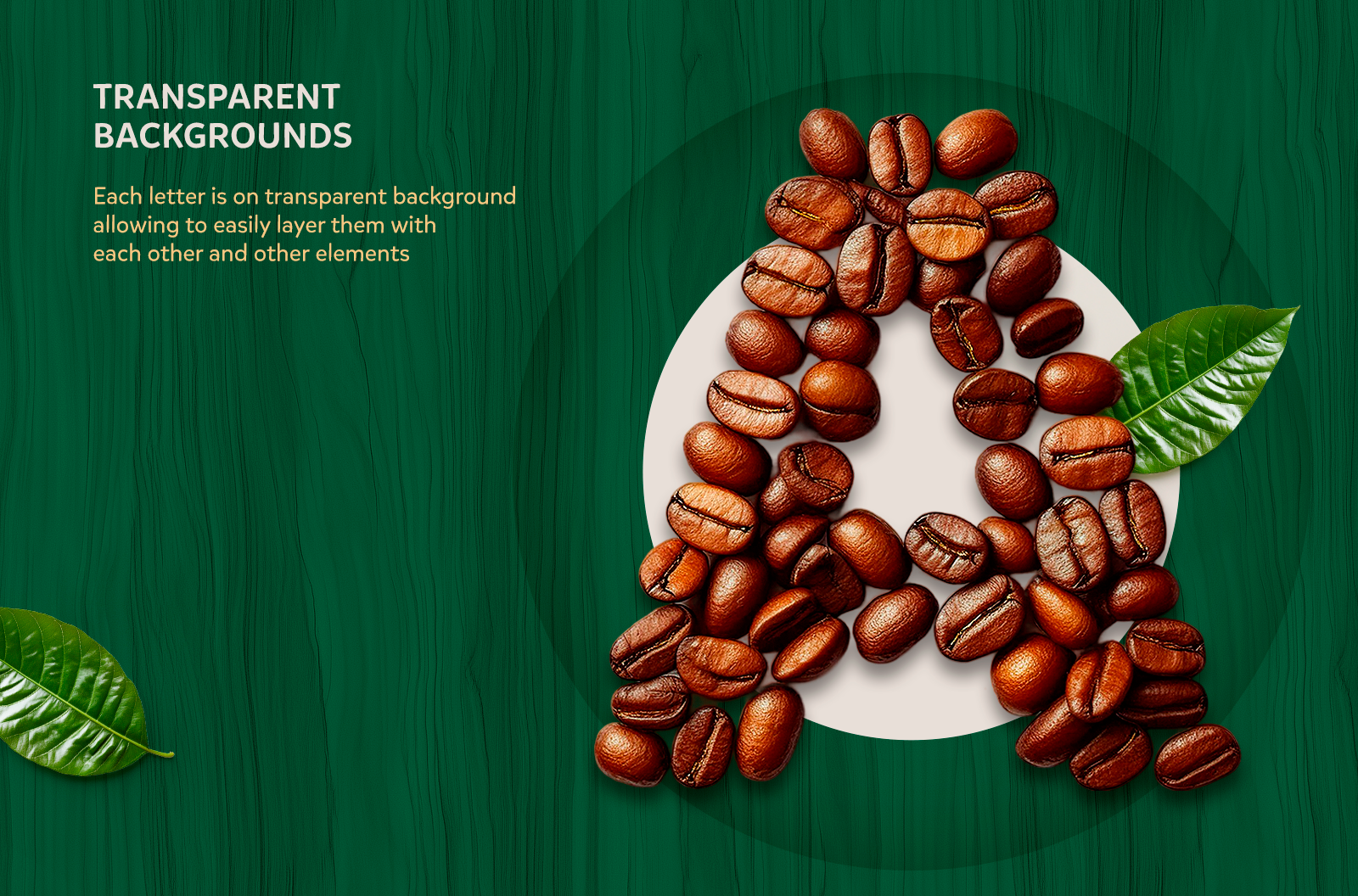 Coffee Beans Type: Geometric Coffee Beans Alphabet