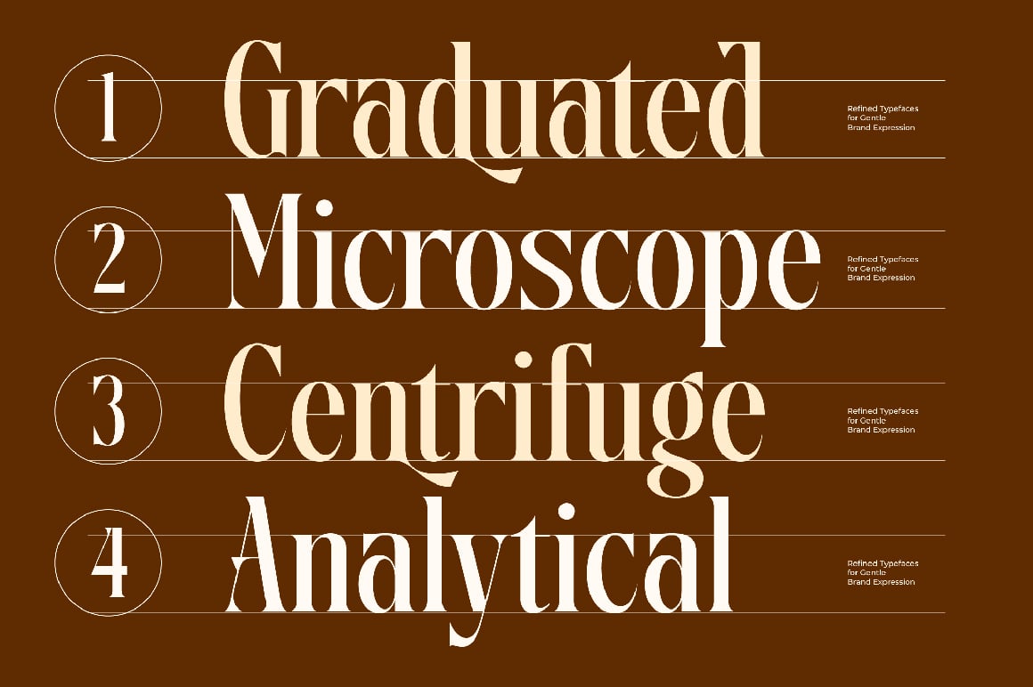 Disriete Modern Serif Display